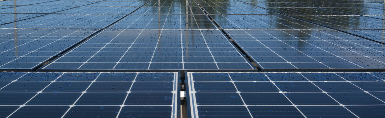 Web Wiz Solar Panel Array