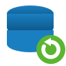 Daily Backups