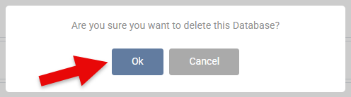 Delete Database Confirmation