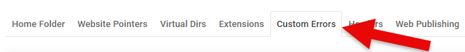 Custom Errors