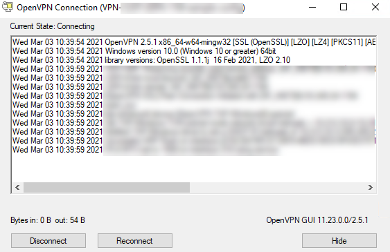 OpenVPN Connection Srceen